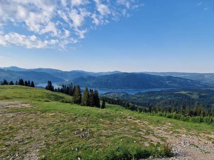 Complex De Pensiuni Si Casute La Munte- Casa ,,Dor De Munte,, Bistricioara Экстерьер фото